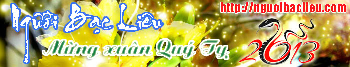 Banner xuân Quý Tỵ 2013