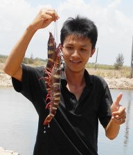 tienthanhpc