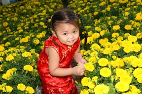 Thái Kiến Phong