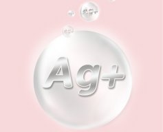 nanobac1