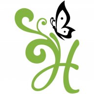 Hoa văn Decal